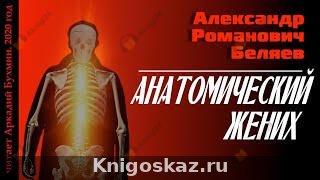 Анатомический жених