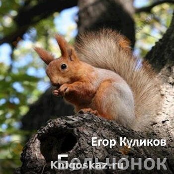 Бельчонок