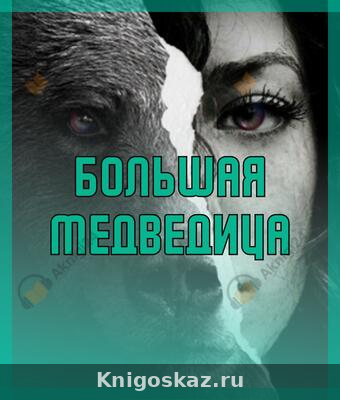 Большая медведица