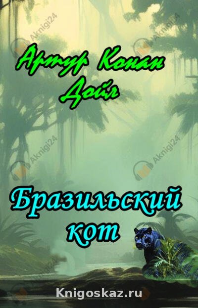 Бразильский кот
