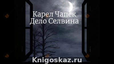 Дело Селвина