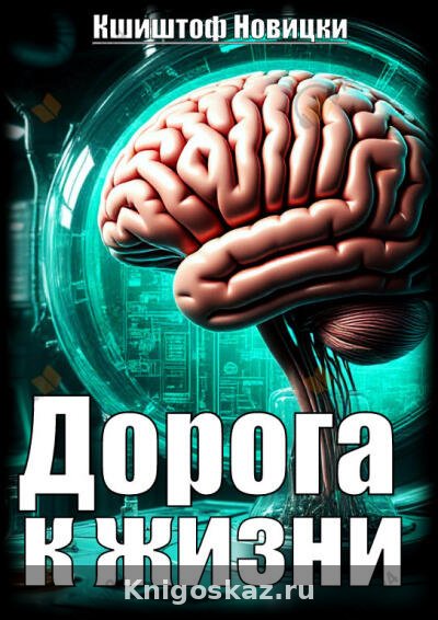 Дорога к жизни