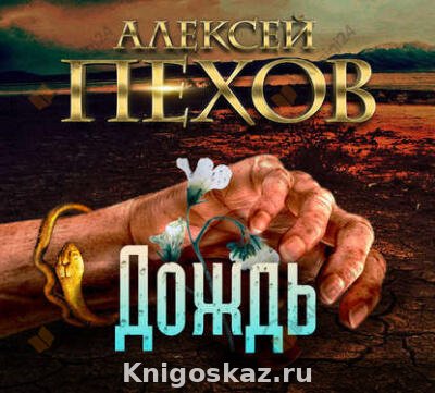 Дождь