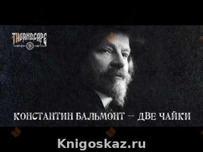 Две чайки