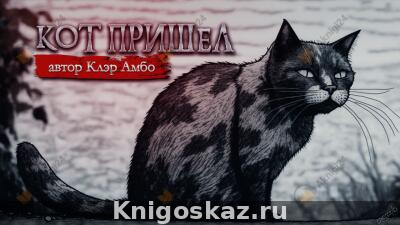 Кот пришел