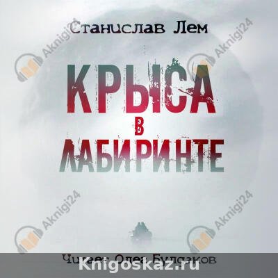 Крыса в лабиринте