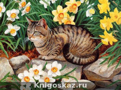 Куфин
