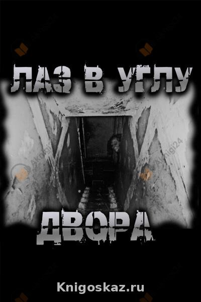 Лаз в углу двора
