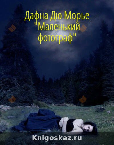 Маленький фотограф