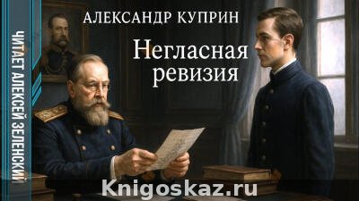 Негласная ревизия