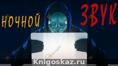 Ночной звук