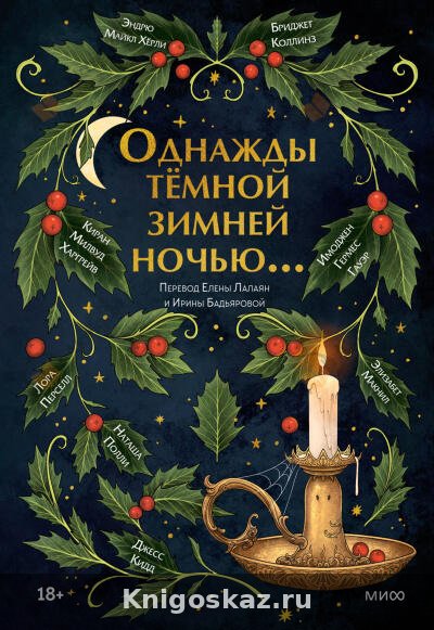 Однажды темной зимней ночью...