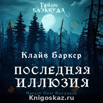 Последняя иллюзия